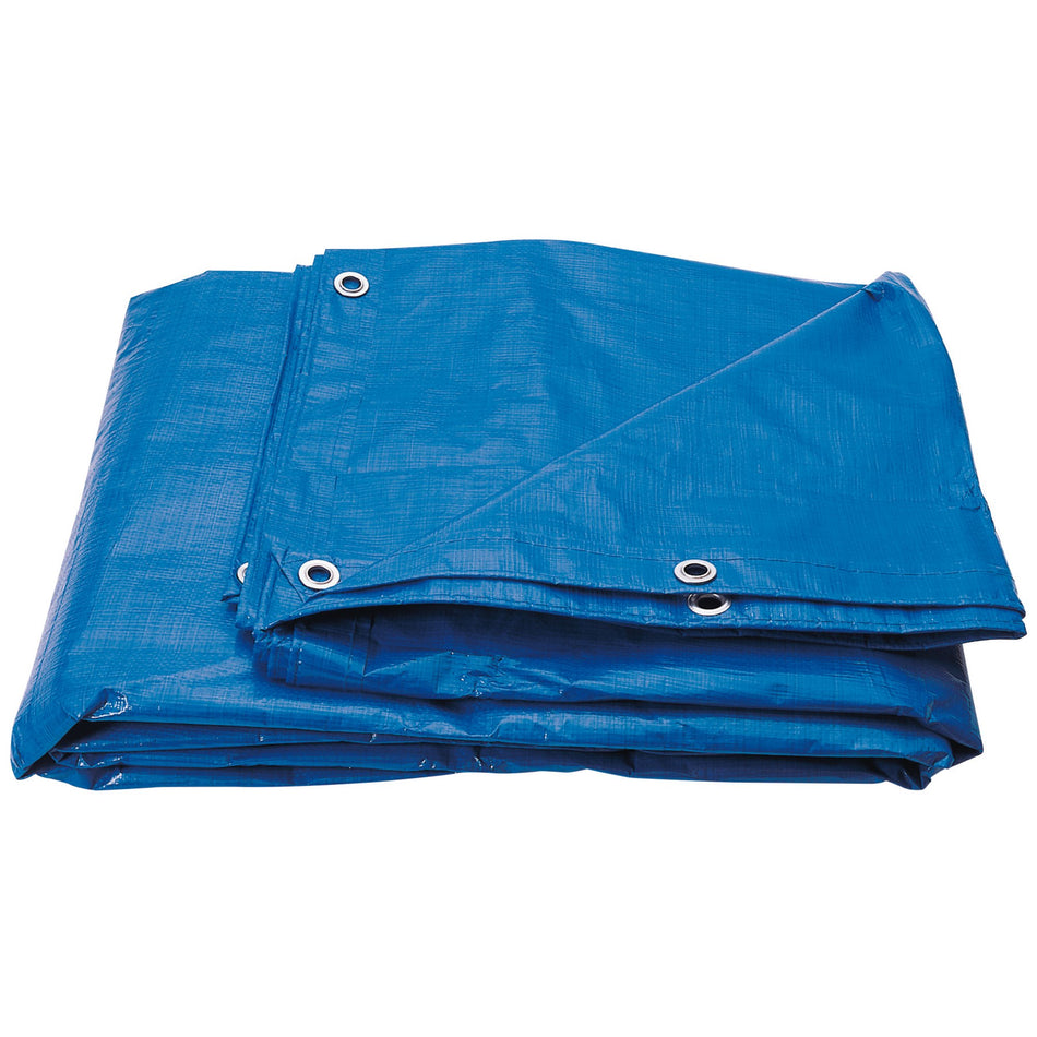 Polyethylene-Tarpaulin,-3-x-5m